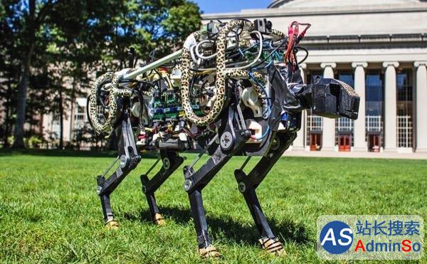 MIT猎豹领衔：6款以动物为原型设计的机器人