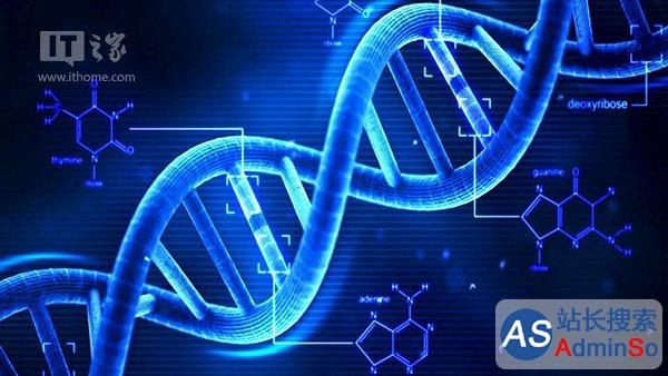 DNA代码编辑工具将测试，免疫系统漏洞有望修复