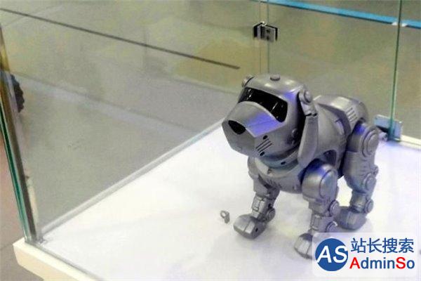 机器人产业的“中国式狂热”